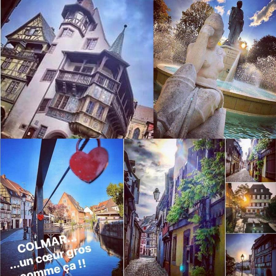 N¨°1 Schongauer Gite De Charme Centre Touristique Кольмар Экстерьер фото